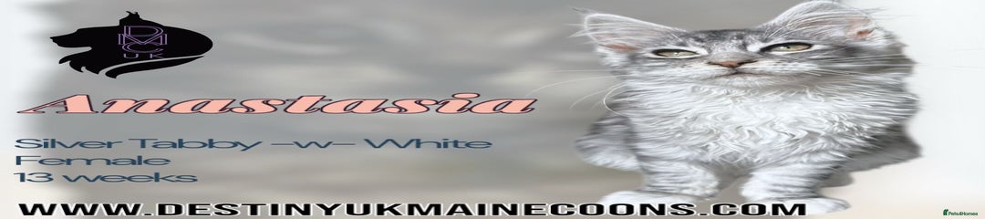 Anastasia 
