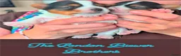 Biewer Terrier dogs for sale: Pure Biewer Terrier - Advert 13