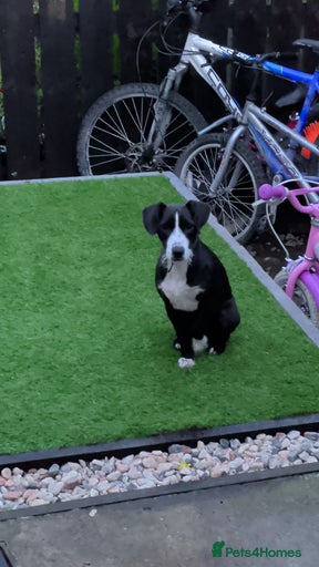 Gallery Image {{count}}