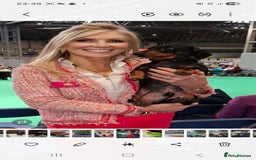 Dachshund dogs for stud: Stud dog - Image 8