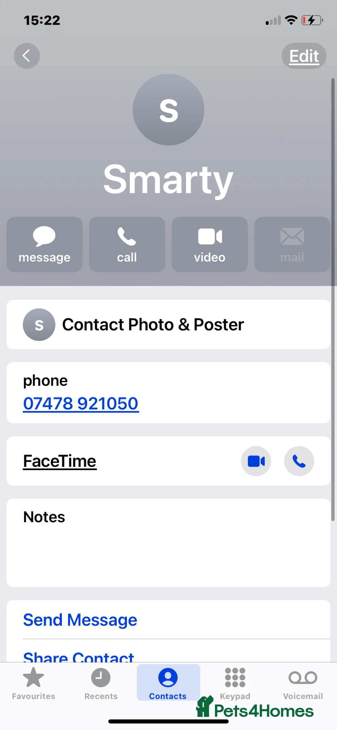 Bichon Frise dogs for sale: Bichon frise  - Advert 2