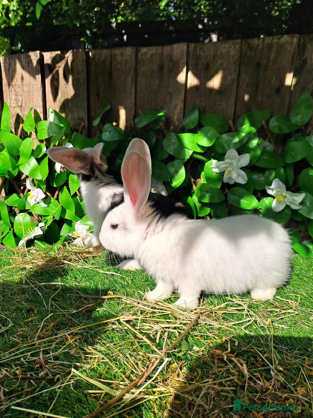 Gallery Image {{count}}