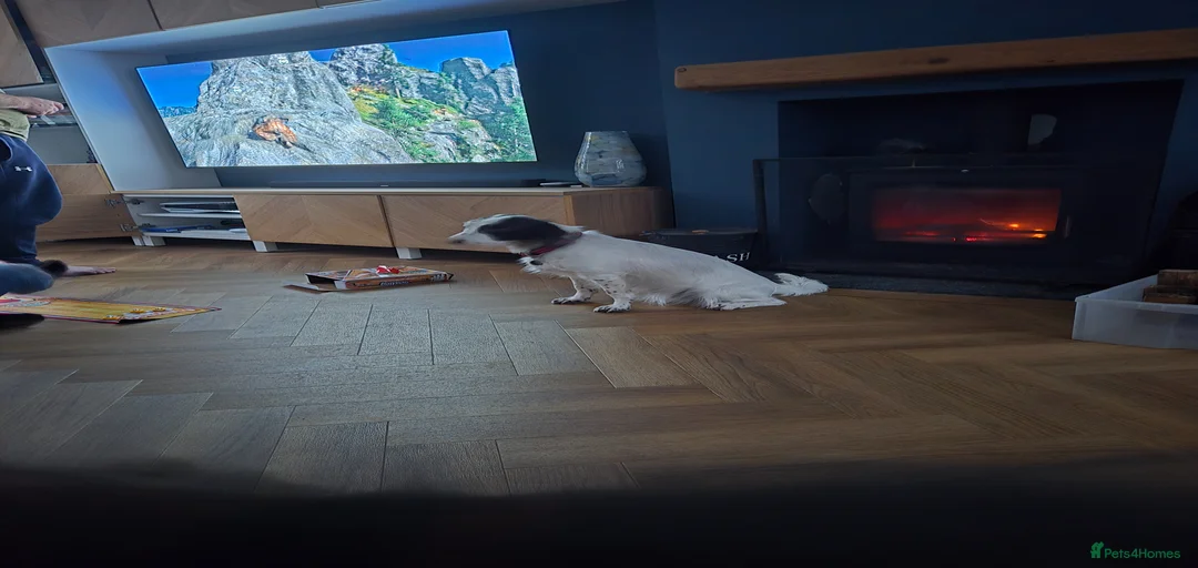 Gallery Image {{count}}