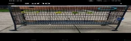 Budgerigars birds for sale: Pair of budgies  in Smethwick - Advert 2