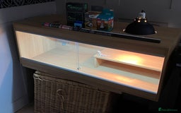Bearded Dragon reptiles for sale: Bearded Dragon Vivarium Setup Kit in Downham Market - Image 6