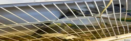 Budgerigars birds for sale: Baby budgies for sale - Advert 5