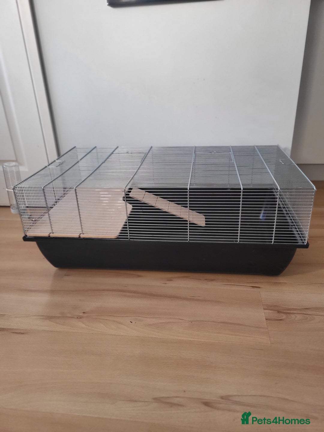 Hamster rodents for sale: Hampster cage  - Image 2