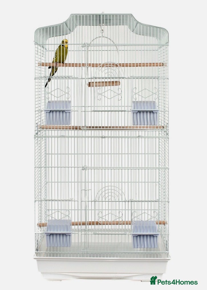 Budgerigars birds Large white bird cage - Advert 5