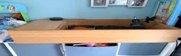 Tortoise reptiles for sale: Horsefield tortoise  - Advert 6