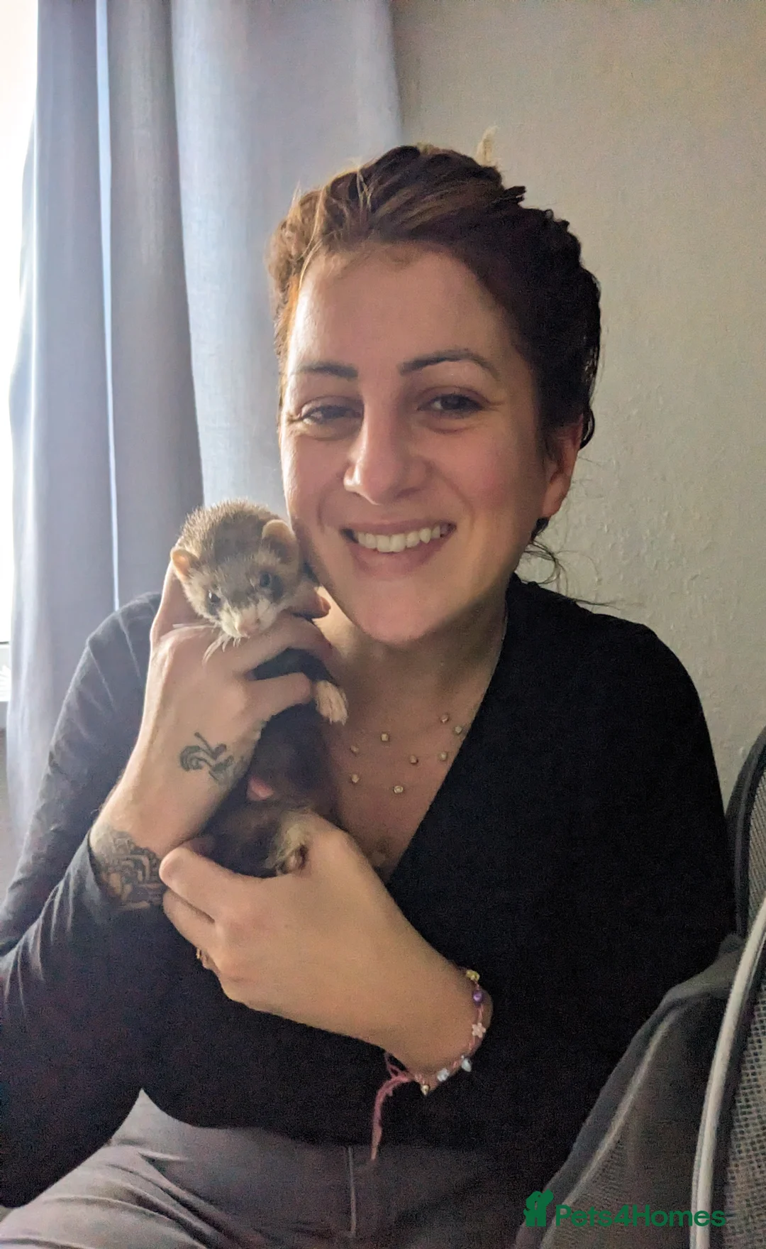 Ferret rodents for sale: Jill, 2 years old almost. Very tame, lovely girl - Advert 2