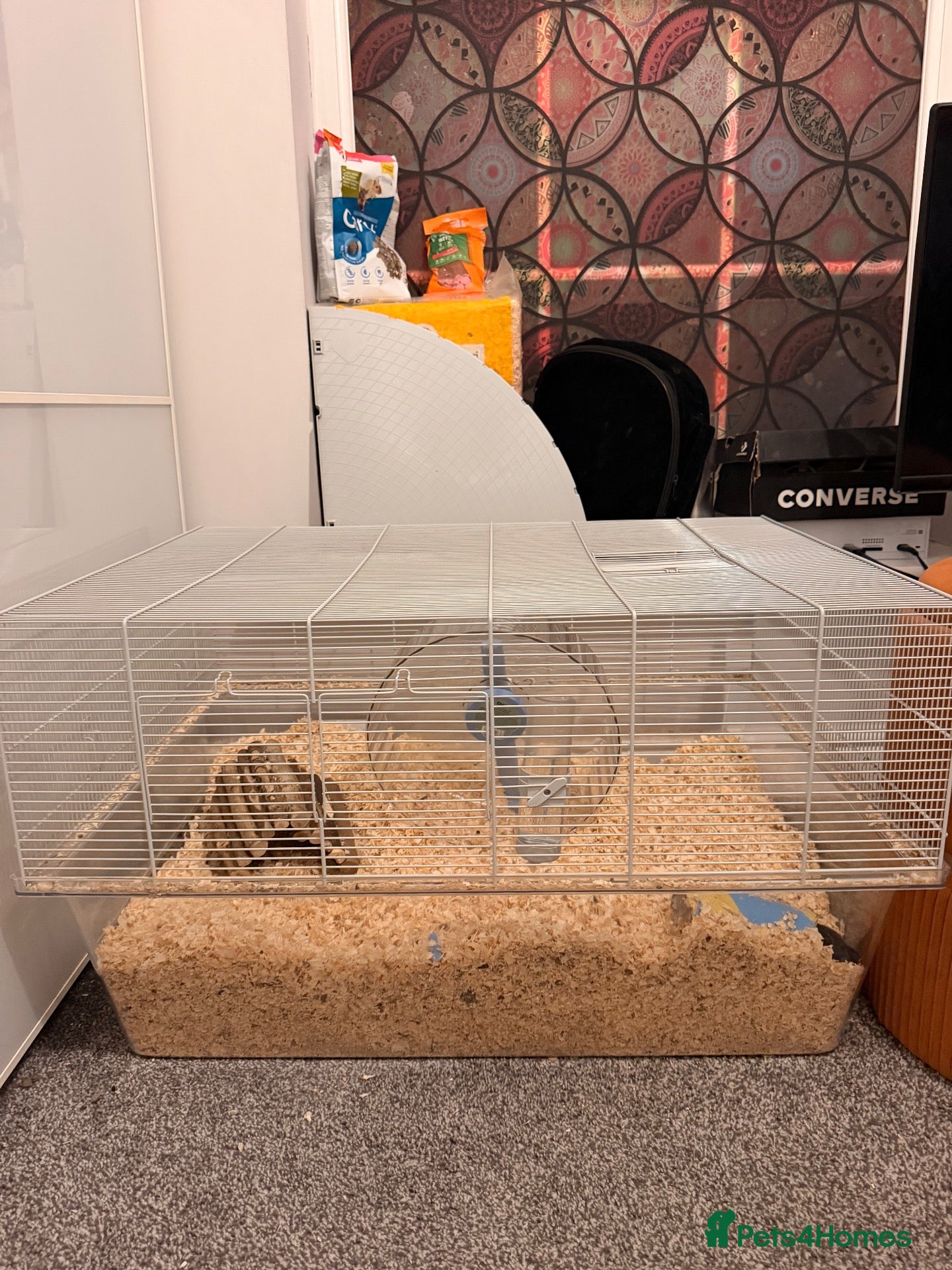 Gerbil rodents for sale: 2 male gerbils to be rehomed  - Advert 1