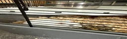 Gerbil rodents for sale: 2 x Gerbils and Cage (free to good home) - Advert 9