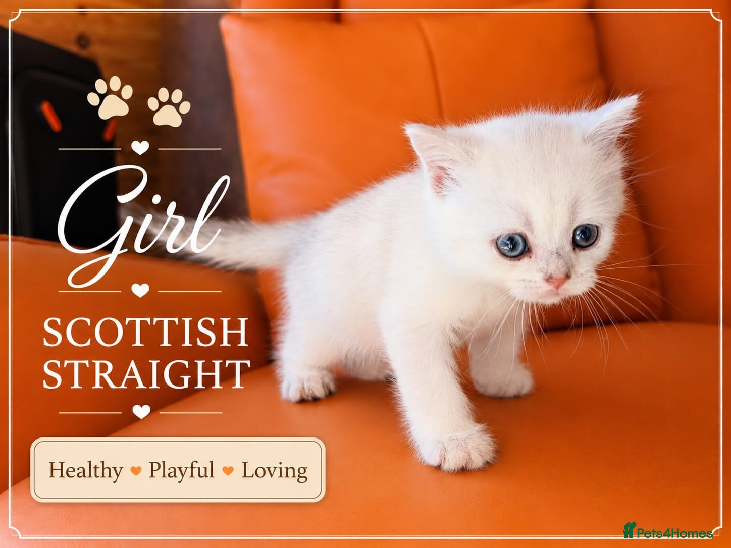 Girl 2