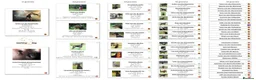 Dobermann dogs for sale: KC reg, Fully Health Tested Parents, 0% inbreeding - Advert 3