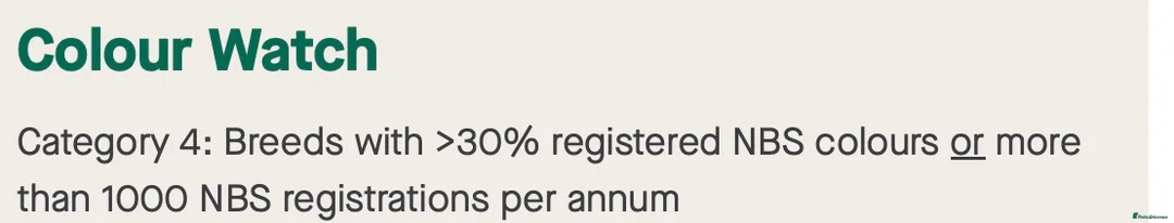 Cocker Spaniel dogs for stud: LUDO - GOLDEN Show Cocker Pedigree Stud TOP Tested in Bradford-on-Avon - Advert 17