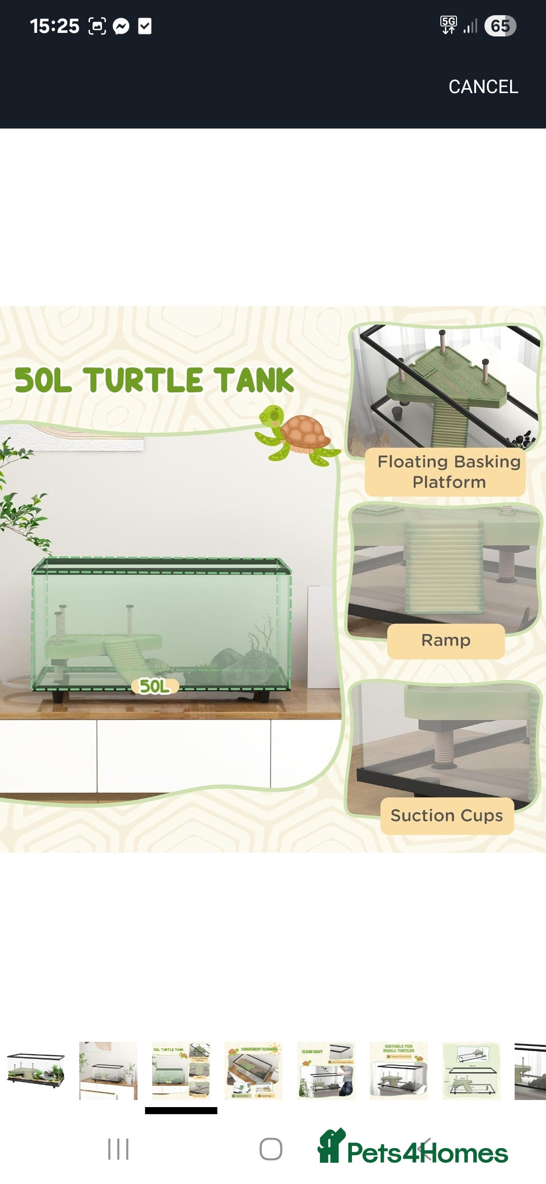 Turtle reptiles for sale: Brand new glass terrarium  - Image 5