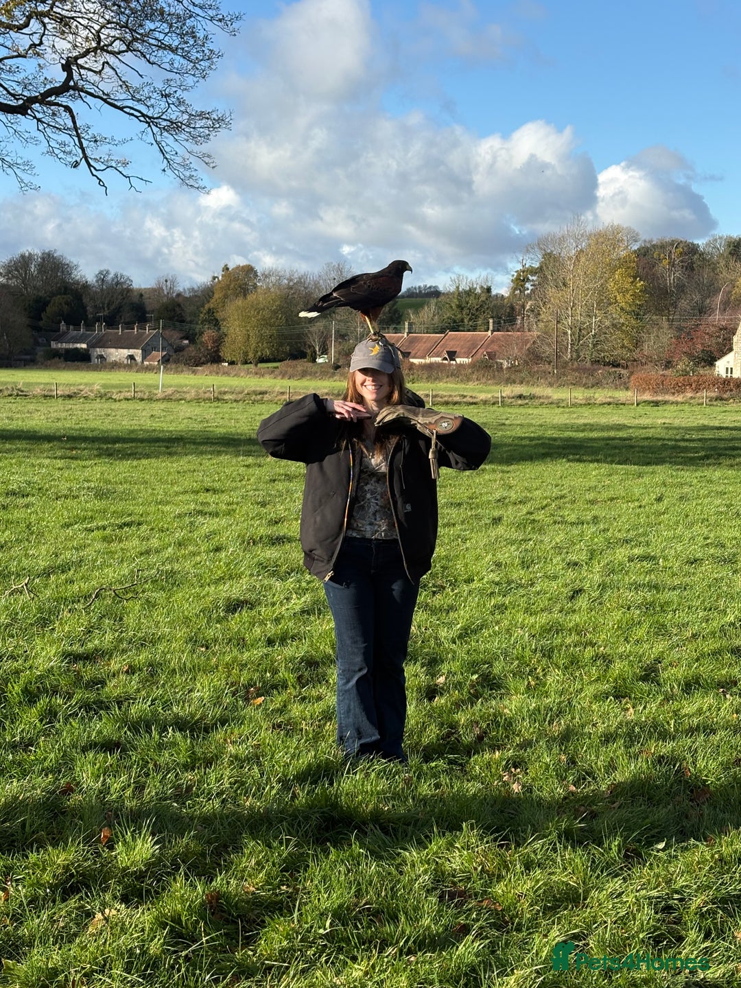 Gallery Image {{count}}