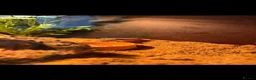 Gecko reptiles for sale: Beautiful Gecko  - Advert 3