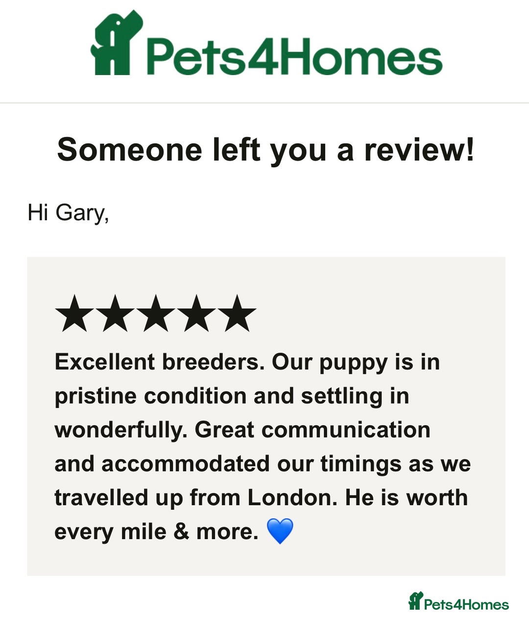 Welsh Corgi Pembroke dogs for sale: Champion bloodlines on both sides, great with kids - Advert 34