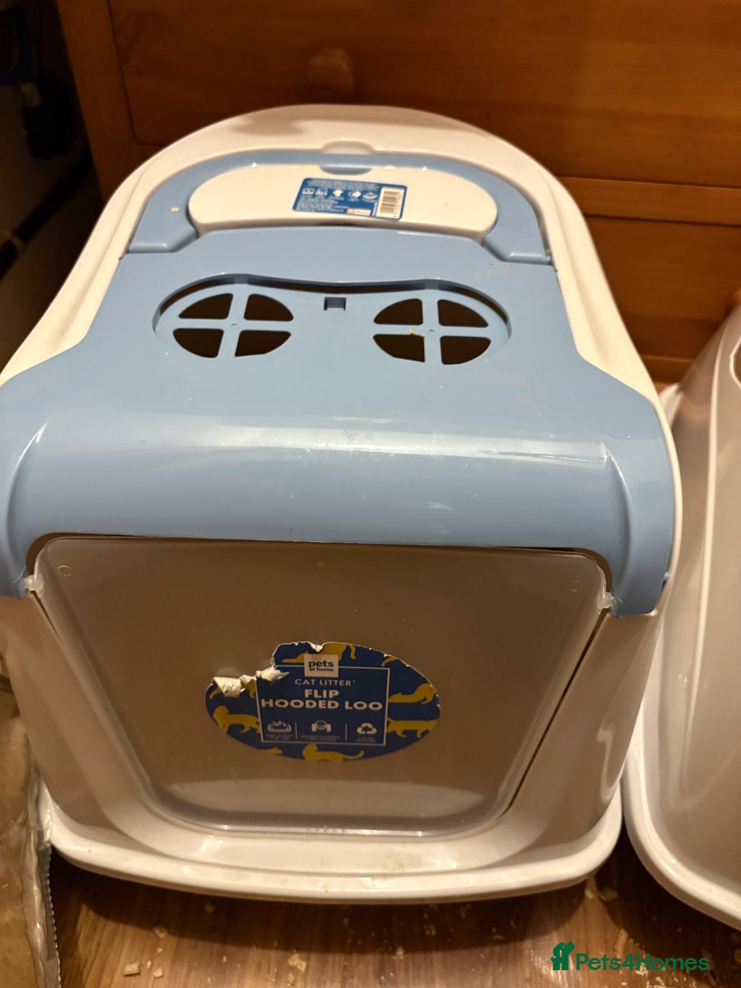 Domestic Shorthair cats for sale: 2 brother cats, 1 year old  - Advert 5