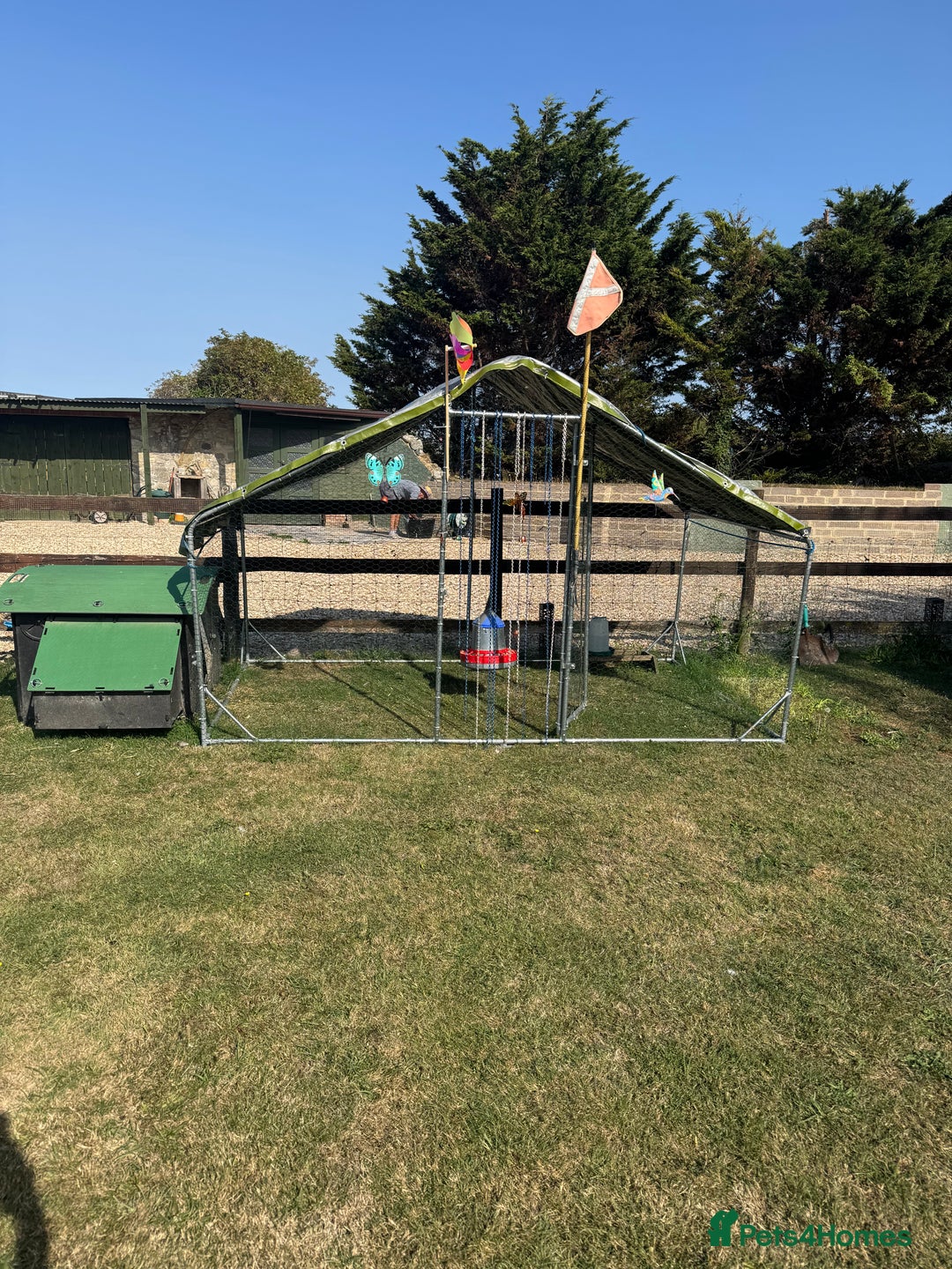 Chickens poultry for sale: Complete chicken 🐓 set up 😍 - Image 3