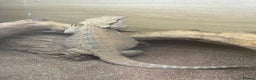 Bearded Dragon reptiles for sale: Bearded dragon + vivarium with accessories  - Advert 3