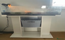 Terrapin reptiles for sale: Two terrapins and tank set up  - Image 5