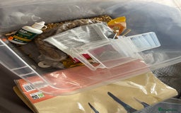 Lovebirds birds for sale: 2 fischers love birds + cage+extras  - Image 5