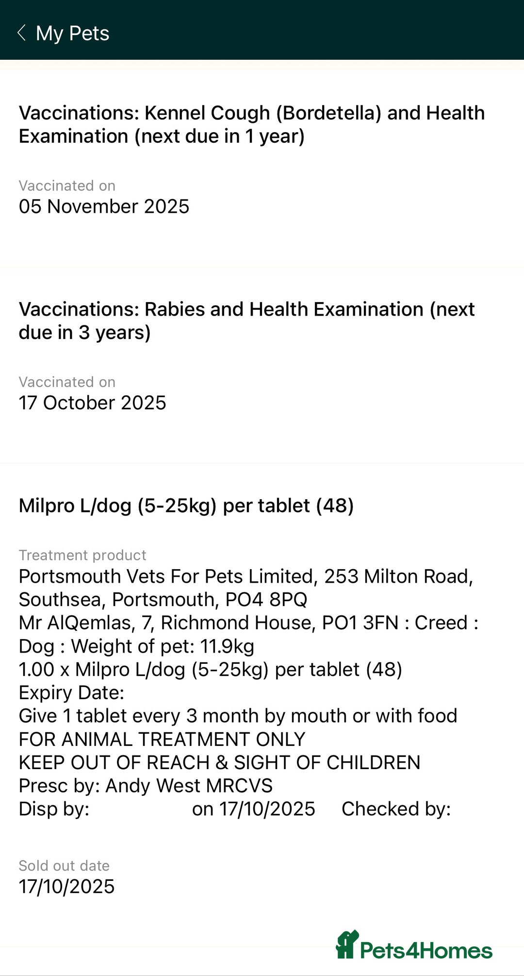 American Bully dogs for sale: ABKC puppy pocket bully  - Advert 3