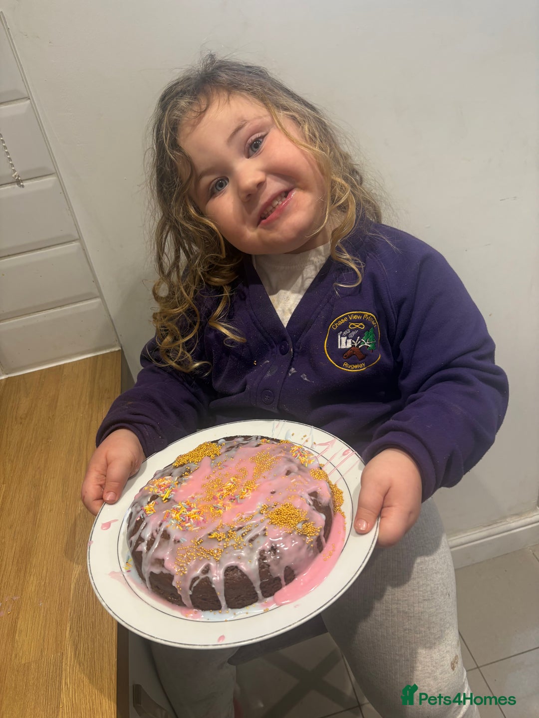 Mixed Breed cats for sale: 3 kittens for Sale  - Advert 6