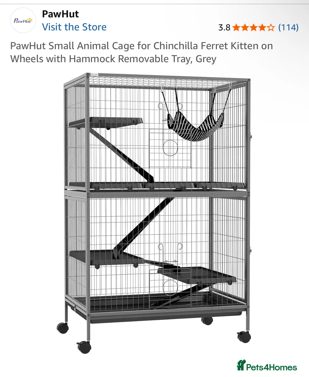 Rat rodents for sale: 2 male rats  - Advert 2