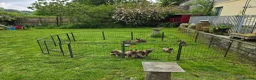 Mixed Breed dogs for sale: Shepherd's available.  Last 2 £500 - Advert 20