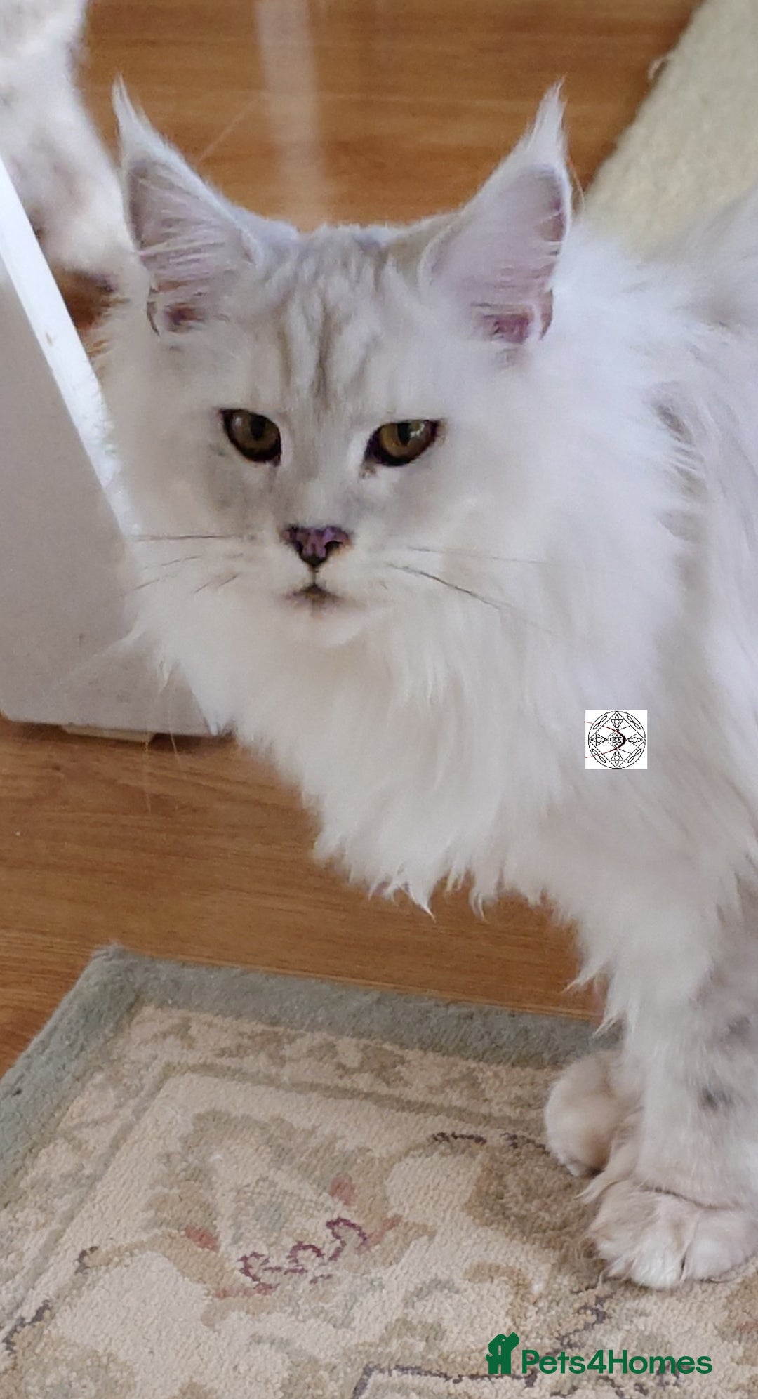 Gallery Image {{count}}