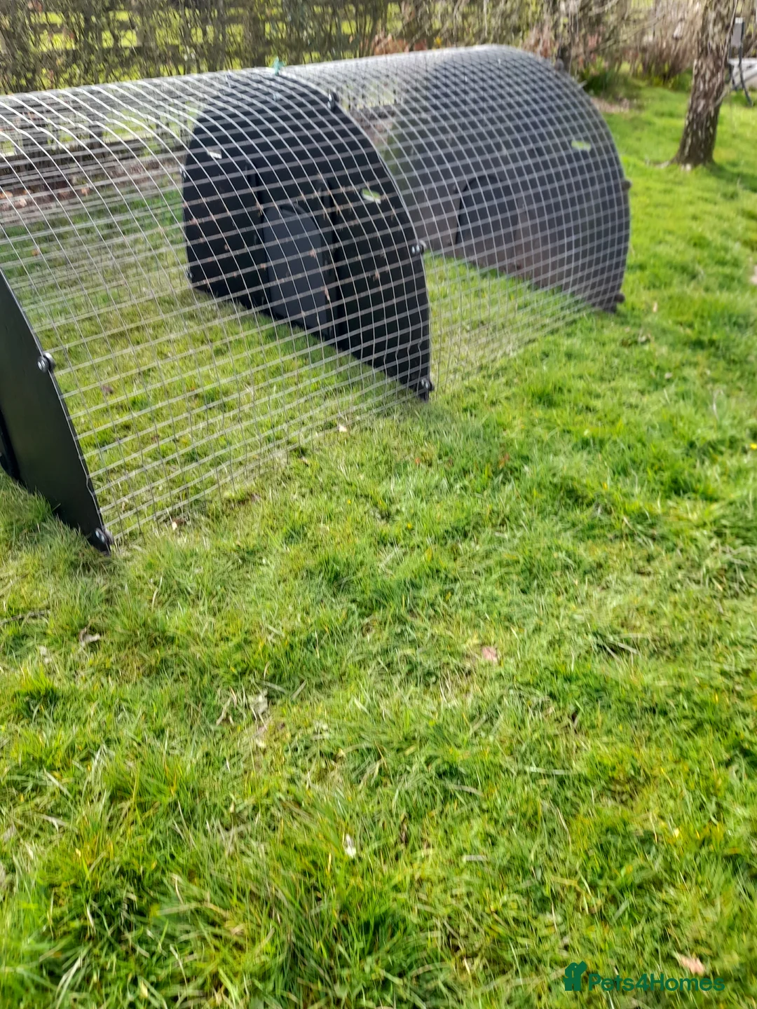 Mixed Breed livestock for sale: Solway Recycling deluxe hen ark run  - Advert 8