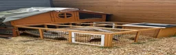 Guinea Pig rodents for sale: Guinea Pigs x 2 male + hutch and everything needed - Advert 5