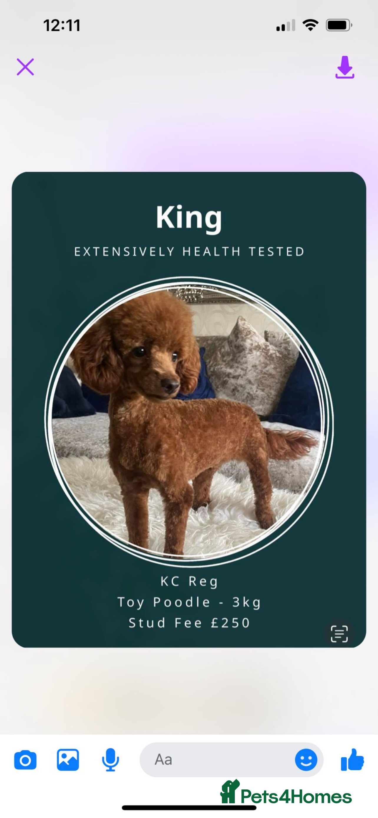 King