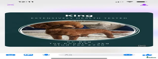 King