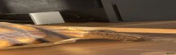 Tortoise reptiles for sale: 6 year old sulcata for sale  - Advert 6