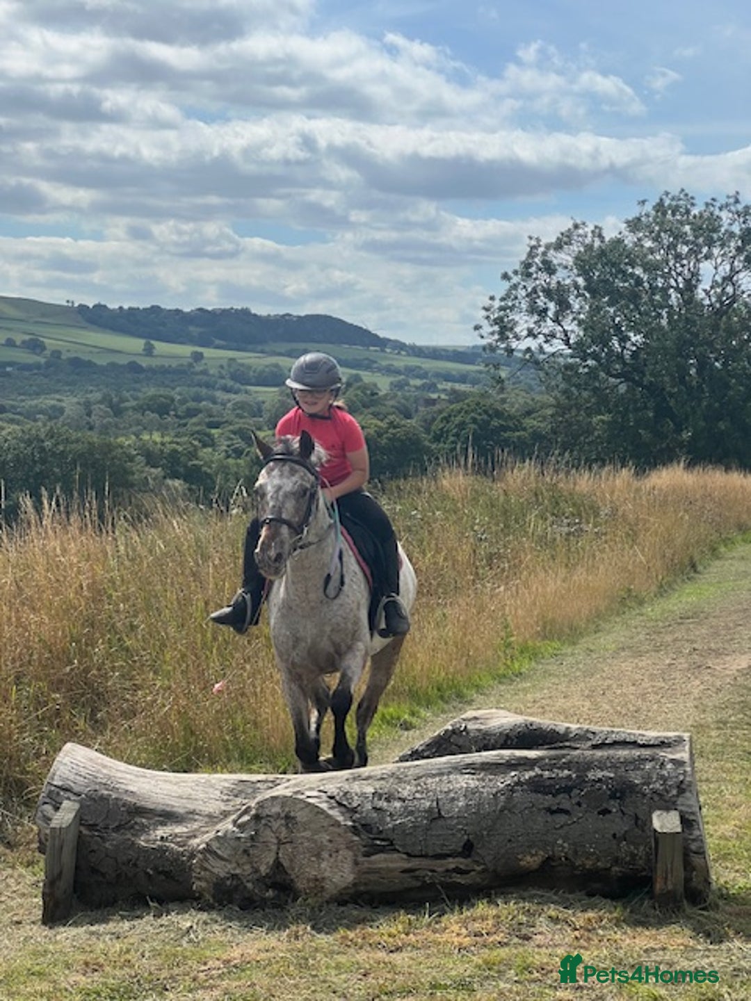 Appaloosa horses for sale: 13.1 hh Appaloosa Mare  - Image 26
