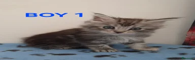 Boy 1