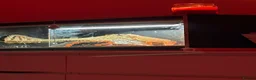 Bearded Dragon reptiles for sale: Bearded dragon for sale (ASAP) + vivarium/without - Advert 4