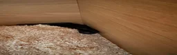 Snake reptiles for sale: Mexican black kingsnake & Royal python  - Advert 1
