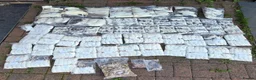 Snake reptiles for sale: Diamond Carpet Pythons - Advert 6