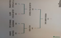 Golden Retriever dogs for sale: ⭐ DARK golden retriever puppies 🐶  - Image 11