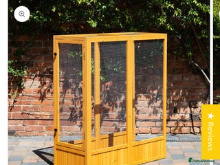 Doves birds - Advert 1