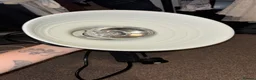 Frog reptiles for sale: vivarium accessories  in Preston - Advert 7