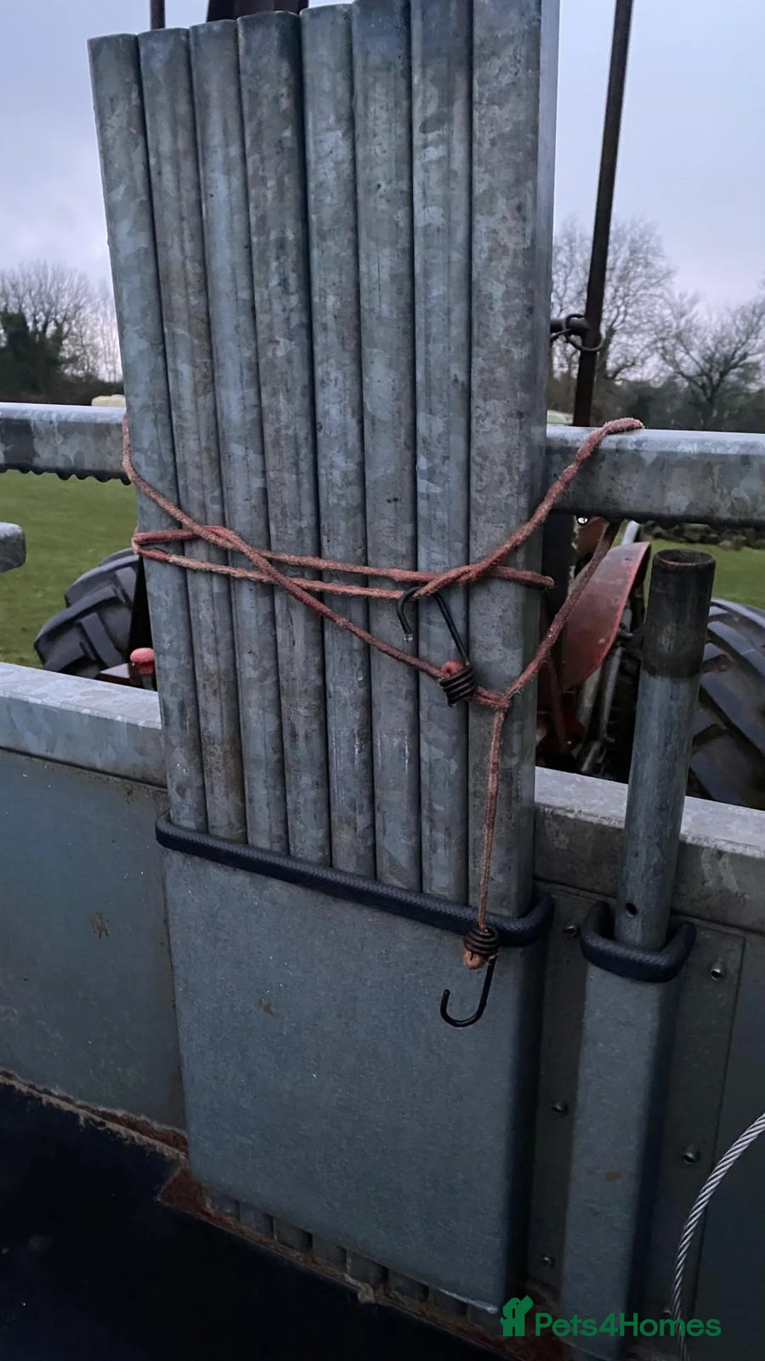 Mixed Breed livestock for sale: Tipping flat bed with sides - Advert 23