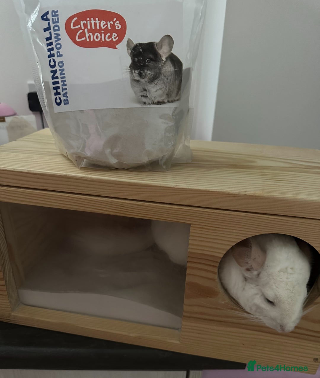 Chinchilla rodents for sale: 2 Female Chinchillas and Full set up!  - Image 32