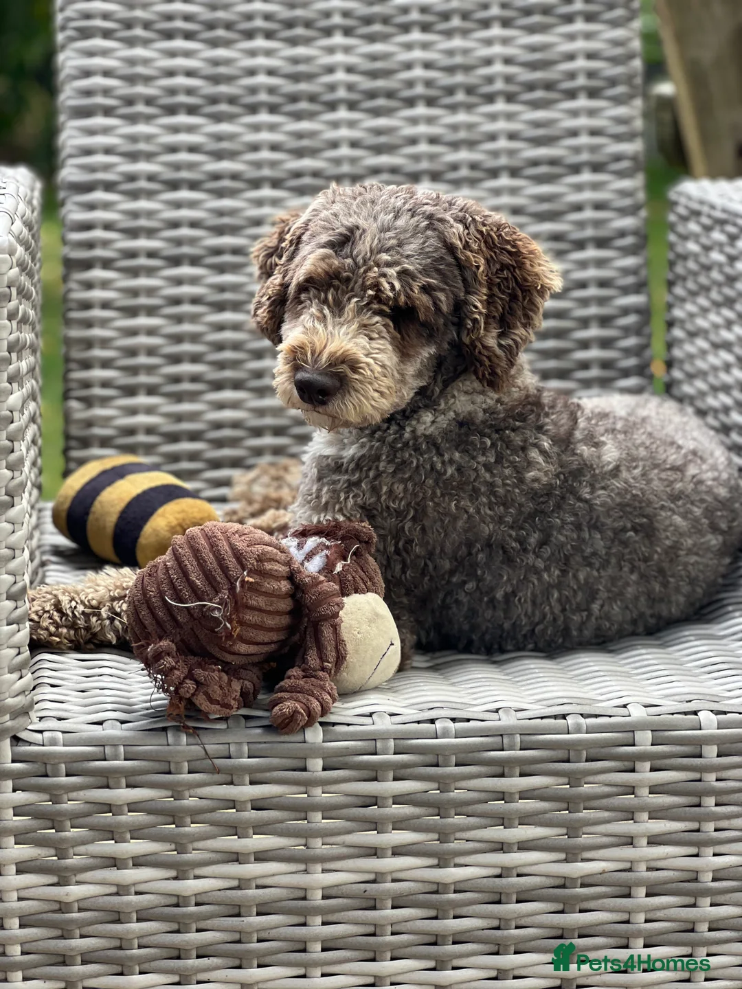 Gallery Image {{count}}