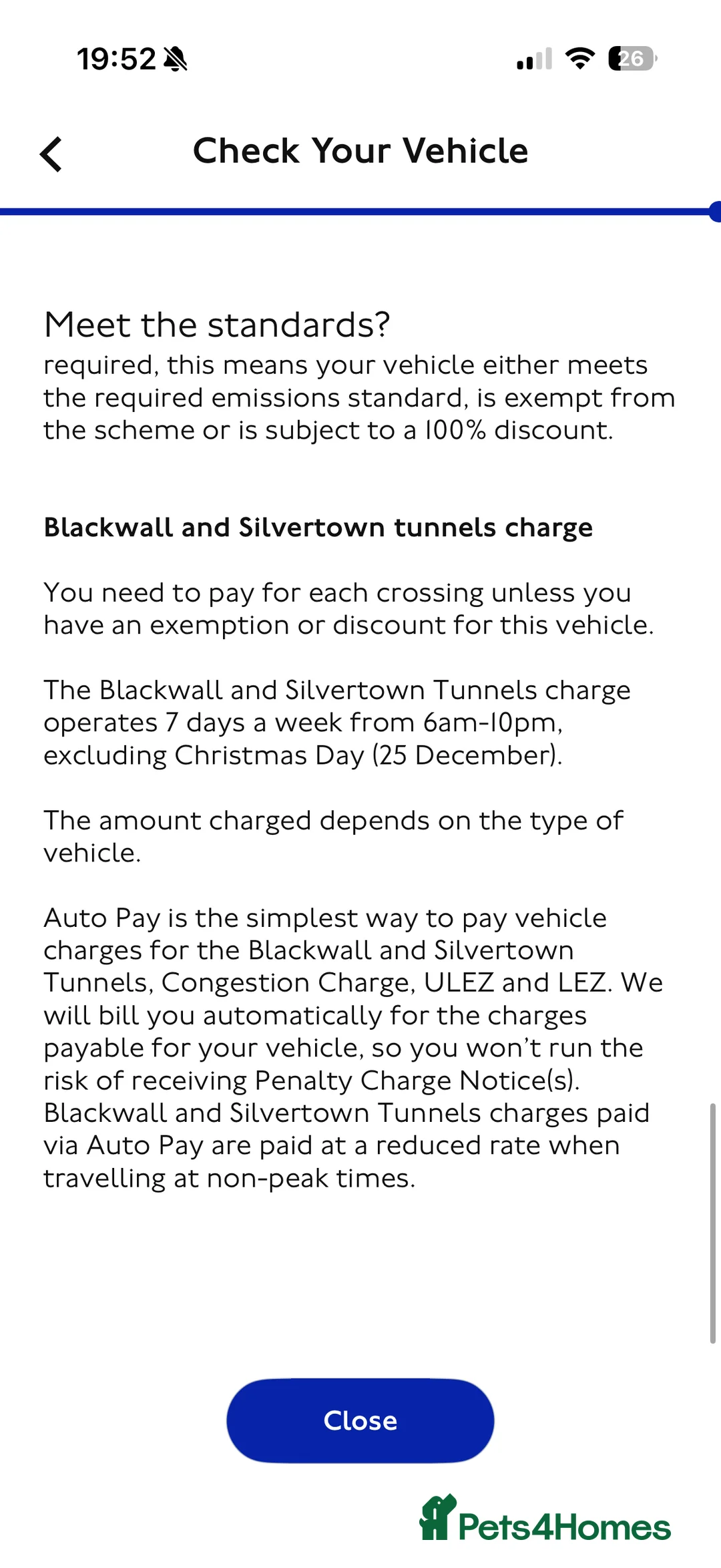 Belgian Shepherd Dog dogs for sale: dziausas in King's Lynn - Advert 2